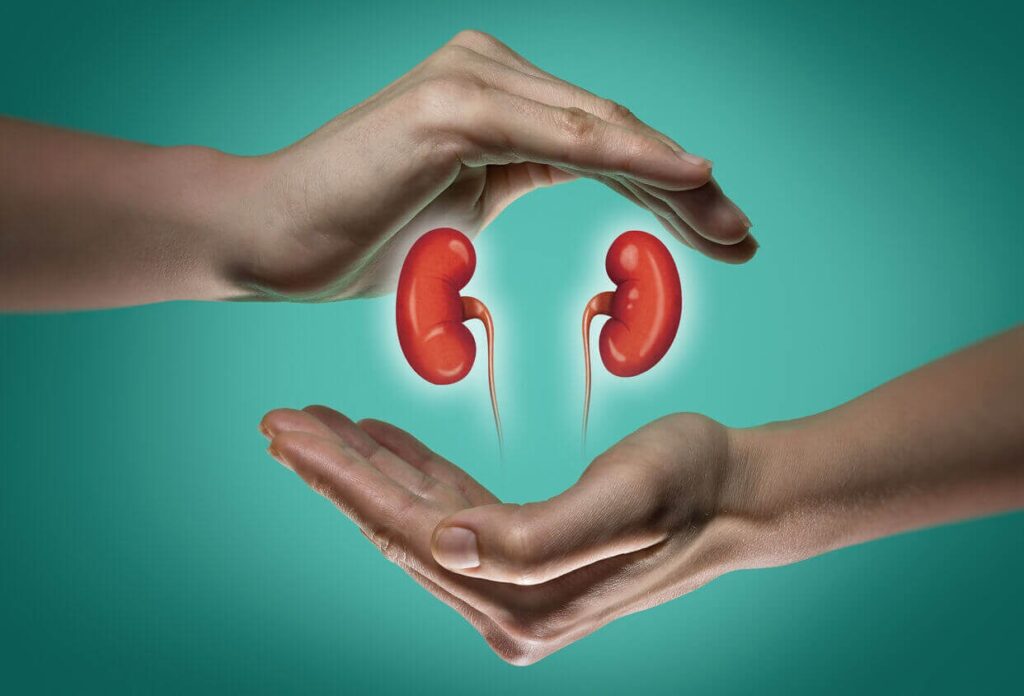 best Nephrologist in lb nagar