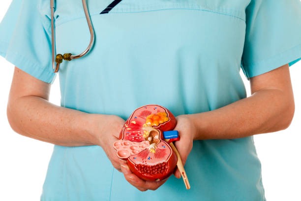 best Nephrologist in lb nagar